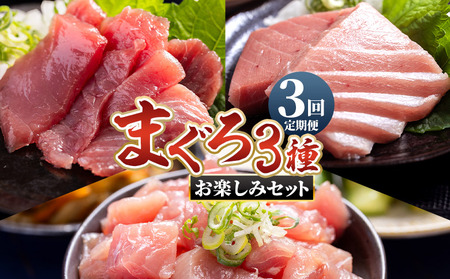 【3回定期便】〈月替わり〉マグロ ３種 お楽しみセット マグロ Wnz-0116