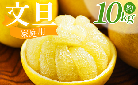 文旦 10kg 家庭用 混合（L〜2Lサイズ） 土佐文旦 nm-0002 | 高知県香南