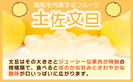 土佐文旦 家庭用 3kg 大小混合(サイズ:L~3L) 文旦 yk-0071