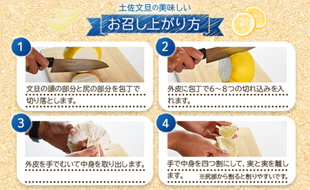 土佐文旦 家庭用 3kg 大小混合(サイズ:L~3L) 文旦 yk-0071