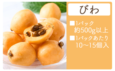 【先行予約】 びわ 500g 【2026年5月末より順次発送】 びわ yr-0114