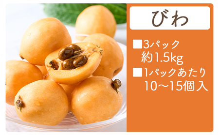 【先行予約】 びわ 1.5kg 【2026年5月末より順次発送】 びわ yr-0116