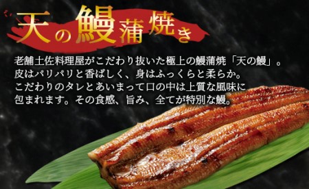 土佐料理司 戻り鰹たたき・天の鰻蒲焼き tr-0013