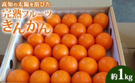 【数量限定】高知の太陽を浴びた 完熟フルーツきんかん 約1kg - 果物 くだもの キンカン 金柑 あまい おいしい 柑橘 送料無料 期間限定 季節もの 高知県 香南市 ku-0032