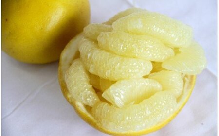 土佐文旦 7kg ギフト用 (2L～4Lサイズ) 先行予約 文旦 果物 フルーツ ms-0067