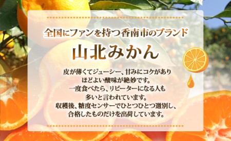 一度食べたらくせになる！高知県産 山北みかん 約3kg(露地栽培 2S～Lサイズ）- 送料無料 果物 フルーツ 温州みかん ミカン 蜜柑 柑橘 甘い おいしい お取り寄せ みかん みかん みかん みかん みかん みかん みかん みかん みかん みかん みかん みかん みかん みかん みかん みかん みかん みかん みかん みかん みかん みかん みかん みかん みかん みかん みかん みかん みかん みかん みかん みかん みかん みかん みかん みかん みかん みかん みかん みかん みかん みかん みかん みかん みかん みかん みかん みかん みかん みかん みかん みかん みかん みかん みかん みかん みかん みかん みかん みかん みかん みかん みかん みかん みかん みかん みかん みかん みかん みかん みかん みかん みかん みかん みかん みかん みかん みかん みかん みかん みかん みかん みかん みかん みかん みかん みかん みかん みかん みかん みかん みかん みかん みかん みかん みかん みかん みかん みかん みかん みかん みかん みかん みかん みかん みかん みかん みかん みかん みかん みかん みかん みかん みかん みかん みかん みかん みかん みかん みかん みかん みかん みかん みかん みかん みかん みかん みかん みかん みかん みかん みかん みかん みかん みかん みかん みかん みかん みかん みかん みかん みかん みかん みかん みかん みかん みかん みかん みかん みかん みかん みかん みかん みかん みかん みかん みかん みかん みかん みかん みかん みかん みかん みかん みかん みかん みかん みかん みかん みかん みかん みかん みかん みかん みかん みかん みかん みかん みかん みかん みかん みかん みかん みかん みかん みかん みかん みかん みかん みかん みかん みかん みかん みかん みかん みかん みかん みかん みかん みかん みかん みかん みかん みかん みかん みかん みかん みかん みかん みかん みかん みかん みかん みかん みかん みかん みかん みかん みかん みかん みかん みかん みかん みかん みかん みかん ku-0019
