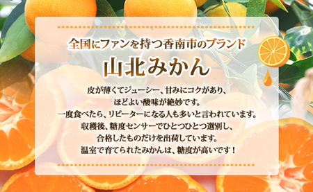山北温室みかん1.2kg 果物 柑橘 ミカン 蜜柑 フルーツ ku-0021