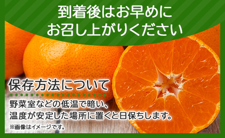 一度食べたらくせになる！高知県産 山北みかん 約5kg(露地栽培 2S～Lサイズ)- 送料無料 果物 フルーツ 温州みかん ミカン 期間限定 蜜柑 柑橘 甘い おいしい お取り寄せ みかんみかんみかんみかんみかんみかんみかんみかんみかんみかんみかんみかんみかんみかんみかんみかんみかんみかんみかんみかんみかんみかんみかんみかんみかんみかんみかんみかんみかんみかんみかんみかんみかんみかんみかんみかんみかんみかんみかんみかんみかんみかんみかんみかんみかんみかんみかんみかんみかんみかんみかんみかんみかんみかんみかんみかんみかんみかんみかんみかんみかんみかんみかんみかんみかんみかんみかんみかんみかんみかんみかんみかんみかんみかんみかんみかんみかんみかんみかんみかんみかんみかんみかんみかんみかんみかんみかんみかんみかんみかんみかんみかんみかんみかんみかんみかんみかんみかんみかんみかんみかんみかんみかんみかんみかん ku-0024