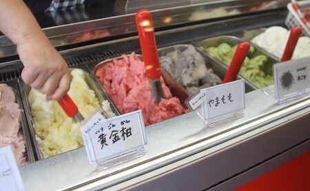 ドルチェかがみ お楽しみジェラート&シャーベットセット 12個入り dc-0063