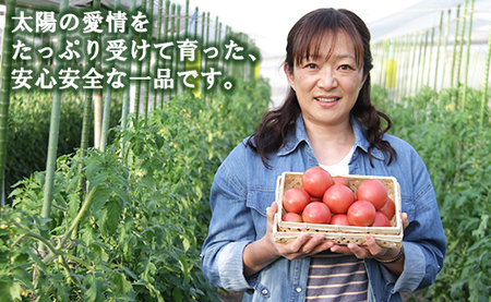 【野菜ソムリエが育てた】うしの恵 フルーツトマト 約2kg【国産トマト フルティカトマト トマト 高知県産トマト 小玉トマト 高糖度トマト 甘いトマト おすすめトマト】 mj-0018