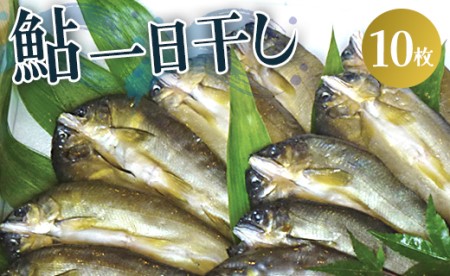 物部川の自然の恵みをお届けします!鮎一日干10枚 C-223