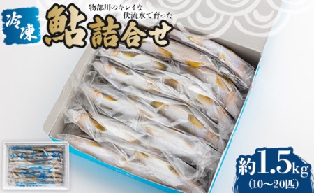 ★物部川のキレイな伏流水で育った 冷凍鮎詰合せ1.5㎏ C-131