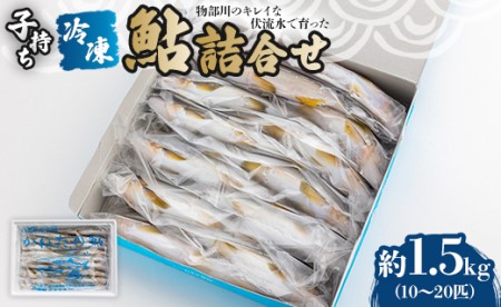 物部川のキレイな伏流水で育った 子持ち冷凍鮎詰合せ1.5㎏ C-133