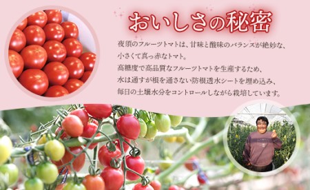 夜須のフルーツトマト2kg - フルーツトマト トマト 贈り物 ご褒美 野菜 おかず サラダ yu-0008