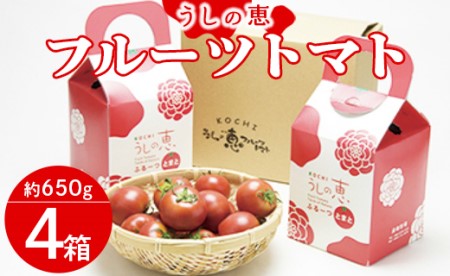 ★うしの恵 フル-ツトマト4箱(トマト650g×4)C-122