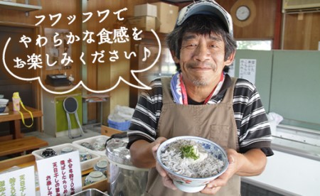 土佐名産 釜揚げしらす 合計1.5kg（約250g×6）【しらす 魚介 しらす 海鮮 しらす 惣菜 しらす 高評価 しらす 人気 しらす おすすめ】 tk-0013