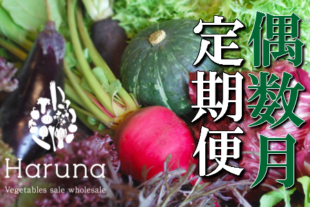 野菜【偶数月】定期便 香南市のお野菜詰め合わせコース M-10 