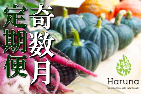 野菜【奇数月】定期便 香南市のお野菜詰め合わせコース M-11