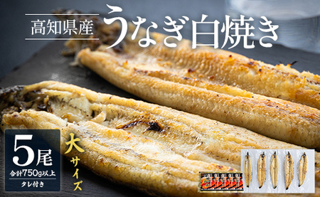 吉川水産 高知県産うなぎの白焼き 大サイズ(150～180g)×5尾 - タレ付き 鰻 ウナギ 国産 yw-0124