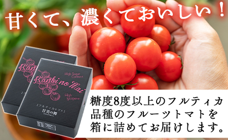 高糖度＆高機能性 フルーツトマト2kg - 野菜 フルティカトマト 完熟 糖度8以上 ミニ プチ おすそ分け フルーツトマト kr-0018