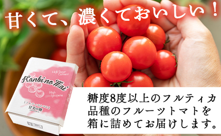 高糖度＆高機能性 フルーツトマト3kg - 野菜 フルティカトマト 完熟トマト 糖度8以上 ミニトマト プチトマト おすそ分け kr-0020