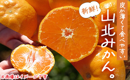 高橋農園 山北みかん3kg(露地・Ｓ～Ｍ) - 果物 フルーツ ミカン 蜜柑 柑橘 th-0006