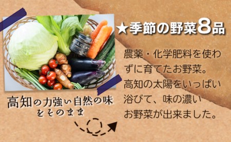 農薬不使用のお野菜8品と黒にんにく味噌のセット pr-0012