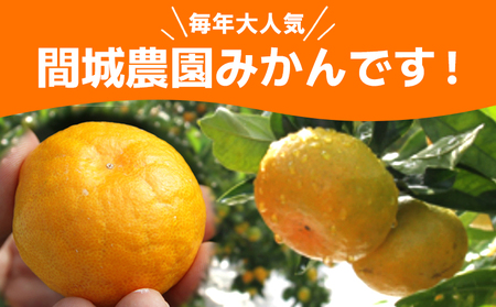 山のてっぺん間城農園のみかん3kg - みかん フルーツ 柑橘 期間限定 みかんみかんみかんみかんみかんみかんみかんみかんみかんみかんみかんみかんみかんみかんみかんみかんみかんみかんみかんみかんみかんみかんみかんみかんみかんみかんみかんみかんみかんみかんみかんみかんみかんみかんみかんみかんみかんみかんみかんみかんみかんみかんみかんみかんみかんみかんみかんみかんみかんみかんみかんみかんみかんみかんみかんみかんみかんみかんみかんみかんみかんみかんみかんみかんみかんみかんみかんみかんみかんみかんみかんみかんみかんみかんみかんみかんみかんみかんみかんみかんみかんみかんみかんみかんみかんみかんみかんみかんみかんみかんみかんみかんみかんみかんみかんみかんみかんみかんみかんみかんみかんみかんみかんみかんみかんみかんみかんみかんみかんみかんみかんみかんみかんみかんみかんみかんみかんみかんみかんみかんみかんみかんみかんみかんみかんみかんみかんみかんみかんみかんみかんみかんみかんみかんみかんみかんみかんみかんみかんみかんみかんみかんみかんみかんみかんみかん ms-0045