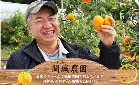 山のてっぺん間城農園のみかん3kg - みかん フルーツ 柑橘 期間限定 みかんみかんみかんみかんみかんみかんみかんみかんみかんみかんみかんみかんみかんみかんみかんみかんみかんみかんみかんみかんみかんみかんみかんみかんみかんみかんみかんみかんみかんみかんみかんみかんみかんみかんみかんみかんみかんみかんみかんみかんみかんみかんみかんみかんみかんみかんみかんみかんみかんみかんみかんみかんみかんみかんみかんみかんみかんみかんみかんみかんみかんみかんみかんみかんみかんみかんみかんみかんみかんみかんみかんみかんみかんみかんみかんみかんみかんみかんみかんみかんみかんみかんみかんみかんみかんみかんみかんみかんみかんみかんみかんみかんみかんみかんみかんみかんみかんみかんみかんみかんみかんみかんみかんみかんみかんみかんみかんみかんみかんみかんみかんみかんみかんみかんみかんみかんみかんみかんみかんみかんみかんみかんみかんみかんみかんみかんみかんみかんみかんみかんみかんみかんみかんみかんみかんみかんみかんみかんみかんみかんみかんみかんみかんみかんみかんみかん ms-0045