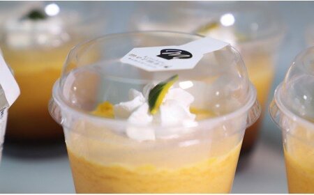 カボチャプリン 6個 プリン yr-0015