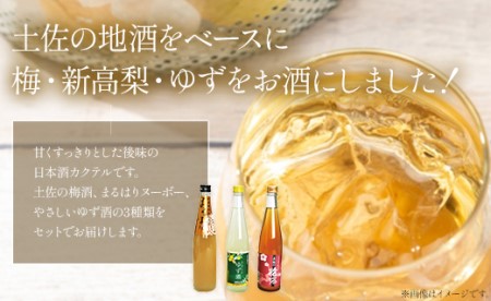 高知特産 果実の香り酒500ml×3種セット gs-0051