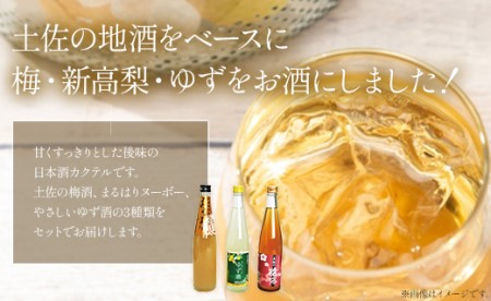 【7日程度で発送】高知特産 果実の香り酒500ml×3種セット gs-0051