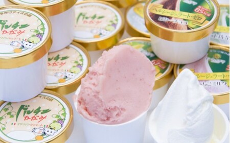 ドルチェかがみ 砂糖不使用のヘルシージェラートセット 6個入り ジェラート dc-0058