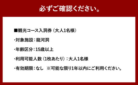 【日本三大鍾乳洞】龍河洞観光コース入洞券 大人1名分 チケット 鍾乳洞 洞窟 地下 観光 歴史 自然