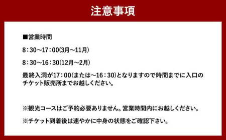 【日本三大鍾乳洞】龍河洞観光コース入洞券 大人1名分 チケット 鍾乳洞 洞窟 地下 観光 歴史 自然