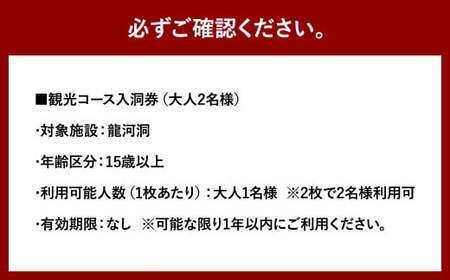 【日本三大鍾乳洞】龍河洞観光コース入洞券 大人2名分 チケット 鍾乳洞 洞窟 地下 観光 歴史 自然