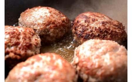 土佐あかうしと四万十ポークのハンバーグ5個（自家製デミソース、トマトソース付）ハンバーグ 惣菜 おかず お取り寄せ