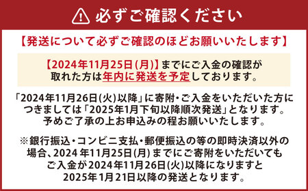 土佐あかうしと四万十ポークのハンバーグ９個（自家製デミソース、トマトソース付）ハンバーグ 惣菜 おかず お取り寄せ