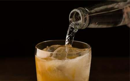 Craft Ginger S 200ml×2 生姜 ショウガ しょうが ジンジャー シロップ