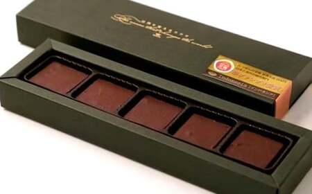 「にっぽんの宝物世界大会2023 日本と海外の融合部門 第2位獲得！」 【世界を変えるカカオ】 生チョコレート 計2箱（1箱5個入） ／ チョコレート 生チョコ カカオ カカオスイーツ お菓子 洋菓子 スイーツ デザート 冷凍