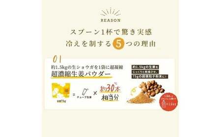 Craft Ginger Powder (クラフト ジンジャー パウダー) 75g×2袋 計150g / 生姜 しょうが 野菜 ジンジャー 粉 薬味 調味料 高知県 香美市 常温
