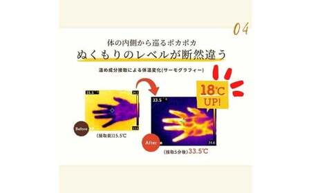 Craft Ginger Powder (クラフト ジンジャー パウダー) 75g×2袋 計150g / 生姜 しょうが 野菜 ジンジャー 粉 薬味 調味料 高知県 香美市 常温