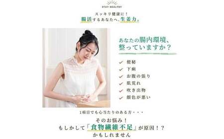 Craft Ginger Fiber (クラフト ジンジャー ファイバー) 25g / 生姜 しょうが 野菜 ジンジャー 薬味 高知県 香美市 常温