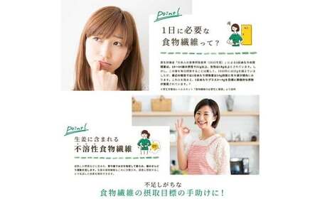 Craft Ginger Fiber (クラフト ジンジャー ファイバー) 25g×2袋 計50g / 生姜 しょうが 野菜 ジンジャー 薬味 高知県 香美市 常温