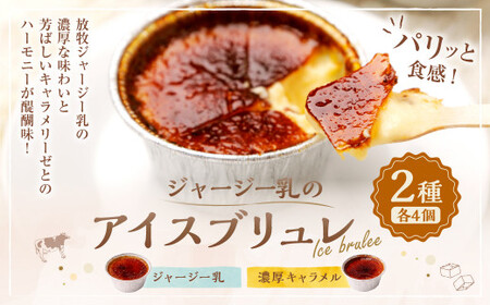 ジャージー乳のアイスブリュレ(4個)＆濃厚キャラメルのアイスブリュレ(4個)