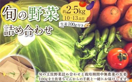 旬の野菜の詰め合わせと栽培期間中 農薬不使用の生姜100g付き 詰め合わせ 野菜セット 野菜 ギフト やさいセット お取り寄せグルメ 家庭用 旬野菜 新鮮 特産 農薬不要 食材