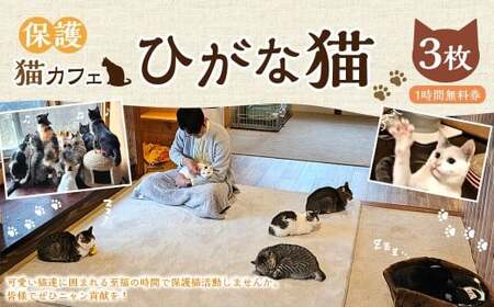 保護猫カフェひがな猫 1時間無料券 3枚 ／ チケット 券 利用券 カフェ利用券 体験チケット 猫カフェ ネコカフェ ねこカフェ 保護猫 保護猫カフェ 1時間 無料 高知県 香美市