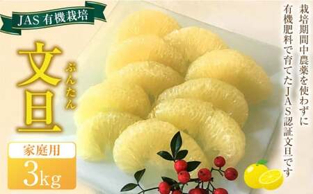 JAS 有機栽培 文旦 3kg 家庭用 ぶんたん 柑橘 フルーツ 果物 お取り寄せ 【2026年2月上旬~3月上旬迄発送予定】