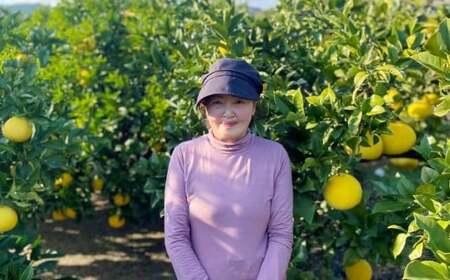 三木さんの露地栽培土佐文旦 1箱 約5kg 【2026年4月上旬迄発送予定】 文旦 ぶんたん ブンタン 柑橘 柑橘系 柑橘類 みかん ミカン 蜜柑 果物 くだもの フルーツ 国産 高知県 香美市 常温