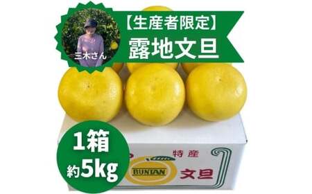 三木さんの露地栽培土佐文旦 1箱 約5kg 【2026年4月上旬迄発送予定】 文旦 ぶんたん ブンタン 柑橘 柑橘系 柑橘類 みかん ミカン 蜜柑 果物 くだもの フルーツ 国産 高知県 香美市 常温